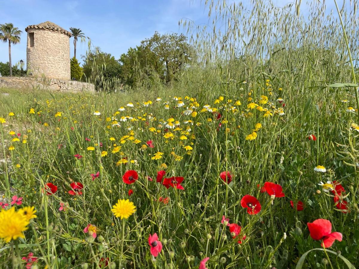Finca Son Manera Montuiri (Mallorca) Exterior foto